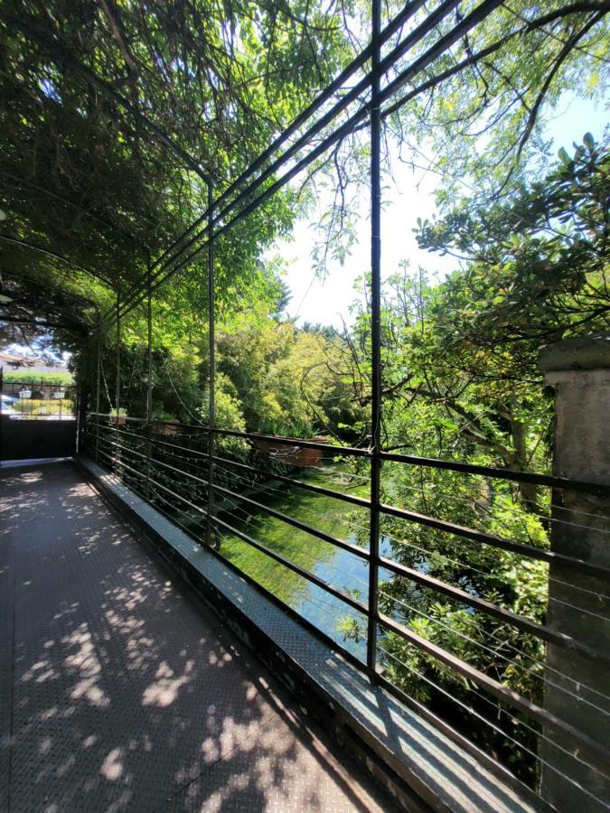 Un Coin Tropical En Provence ! LʼIsle-sur-la-Sorgue Exterior foto